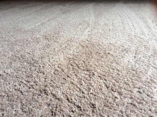 Plush Carpet Installation in Midland