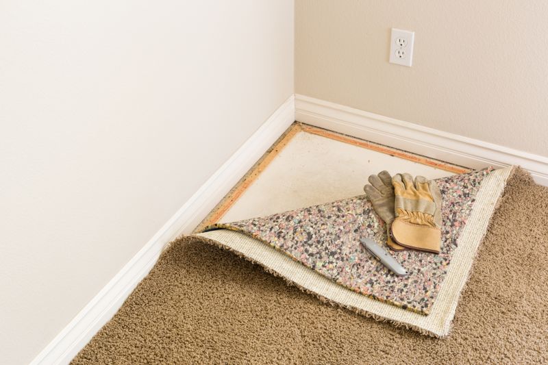 Bedroom Carpet Replacement