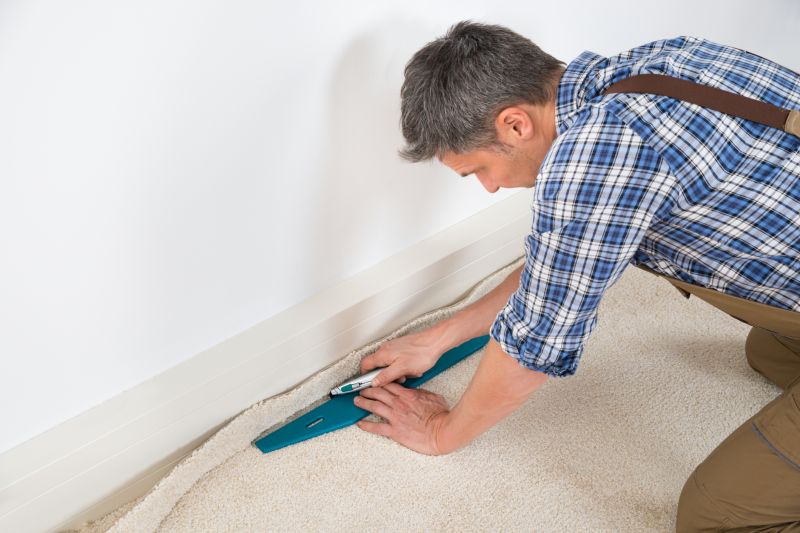 Carpet Transition Areas