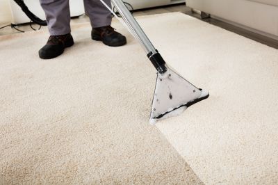 Local Carpet Maintenance Experts
